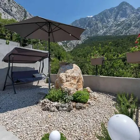 Alta Vista